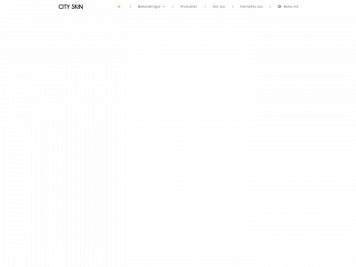 cityskin.se snapshot