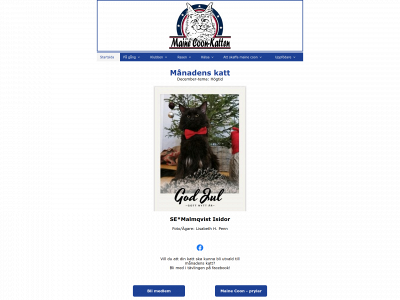mainecoonkatten.se snapshot