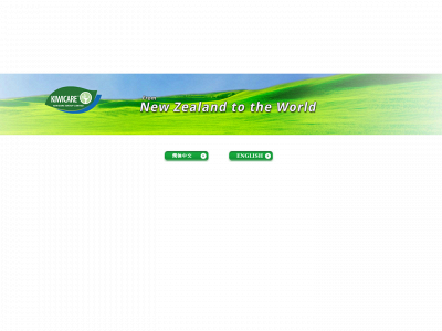 kiwicaregroup.co.nz snapshot
