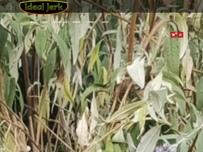 idealjerk.com snapshot