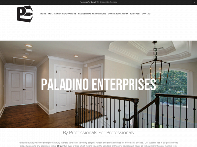 paladinobuilt.com snapshot