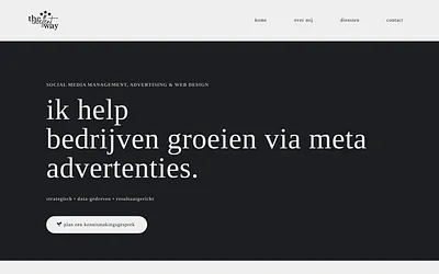 theexcellentway-digitaladvertising.nl snapshot