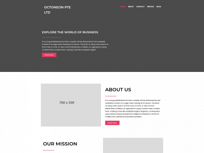 octoneon2.com snapshot