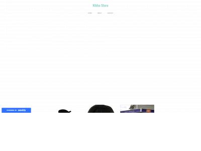 ajbutnibba.weebly.com snapshot