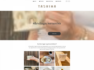 bytashina.com snapshot