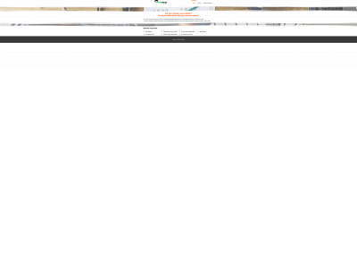 webnerdsdesign.com snapshot