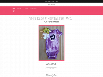 www.tinabass.com snapshot