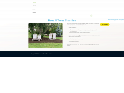 beesntreescharities.com snapshot