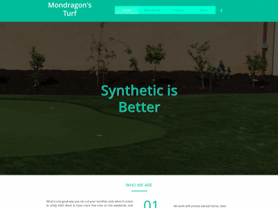 mondragons-turf.com snapshot