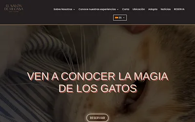 elsalondemicasa.com snapshot