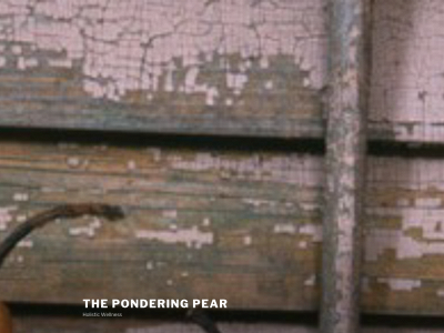 theponderingpear.com snapshot