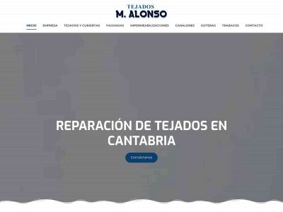 tejadosalonso.com snapshot