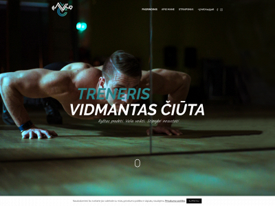 vidmantasciuta.lt snapshot