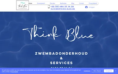 think-blue.be snapshot