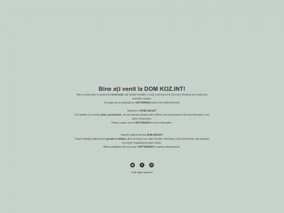 kozint.group snapshot