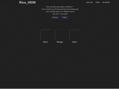 ricorust.com snapshot