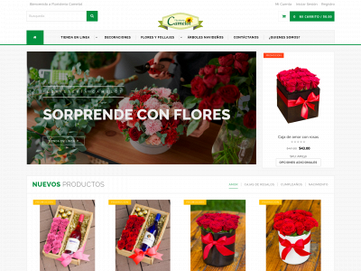 floristeriacamelot.com snapshot
