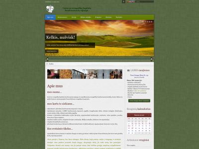 baptist.lt snapshot
