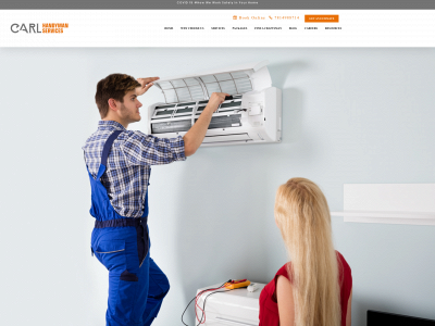 carlhandymanservices.com snapshot
