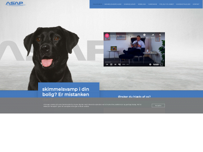 skimmelsvampehunde.dk snapshot