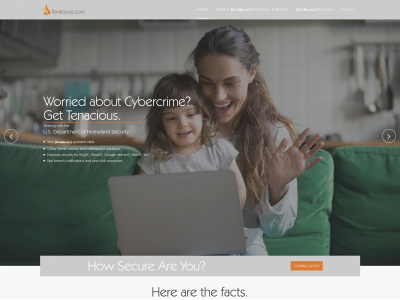tenacious.com snapshot