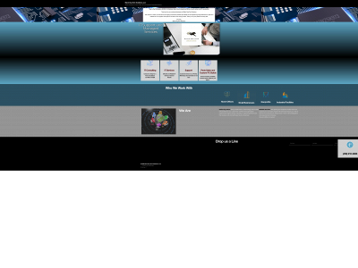 blackdogtechsolutions.com snapshot