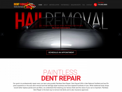 dentsquadusa.com snapshot