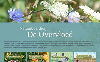 deovervloed.be snapshot