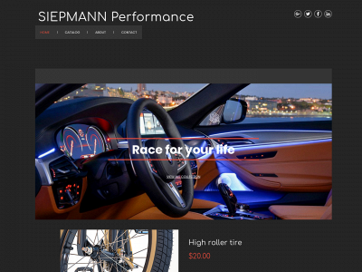 siepmann-performance.com snapshot