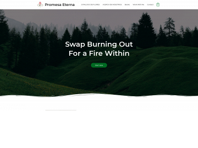 promesaeterna.com snapshot