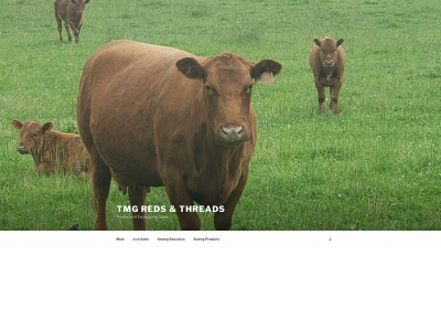 tmgredsandthreads.com snapshot