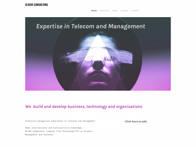 elseusconsulting.se snapshot