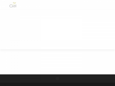 ciel-kw.com snapshot