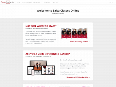 www.salsaclassesonline.com snapshot