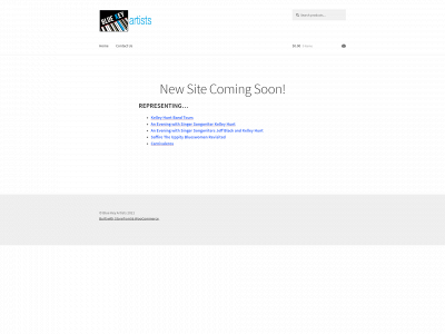 bluekeyartists.com snapshot
