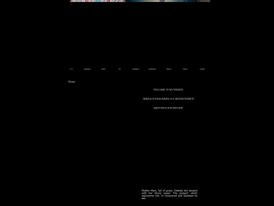 robinwagenvoort.com snapshot