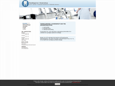 tandlaegernekvaerndrup.dk snapshot