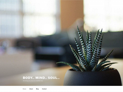 ksb-bodymindsoul.com snapshot