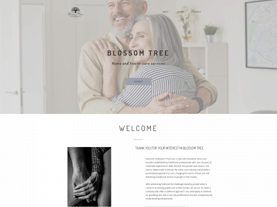 blossomtreecare.com snapshot