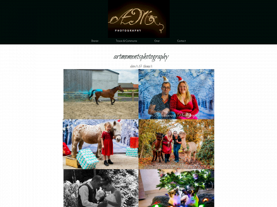 artmomentsphotography.be snapshot