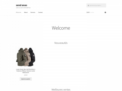sendanas.com snapshot