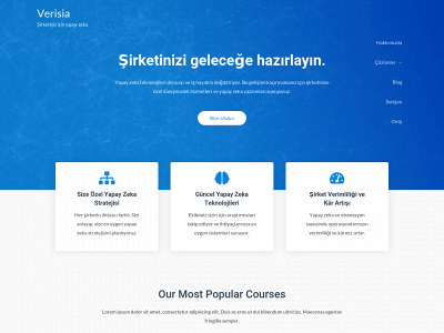 verisia.com snapshot