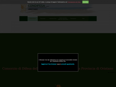 condifesaor.it snapshot