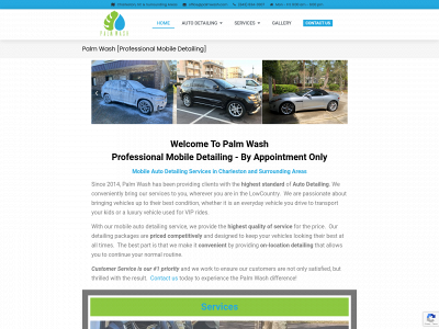 palmwash.com snapshot