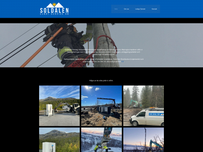 soldalen.com snapshot