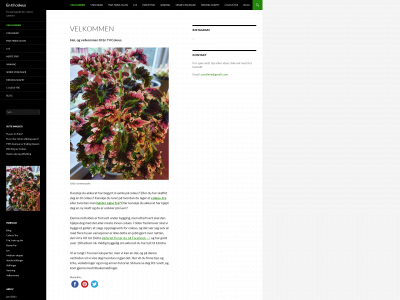 entilcoleus.no snapshot