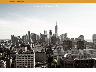streamliferealestate.com snapshot