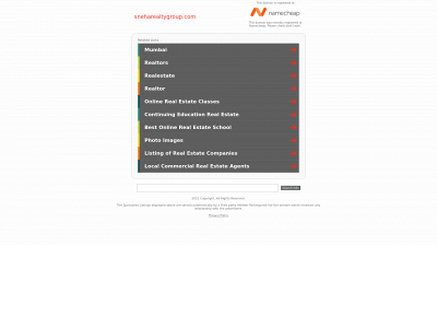 sneharealtygroup.com snapshot