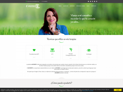 carmencruzzco.com snapshot