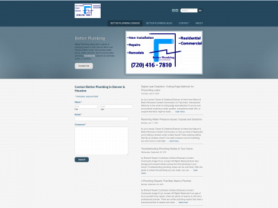 www.betterplumbingdenver.com snapshot